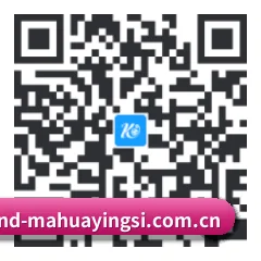 Android 饭圈版 二维码